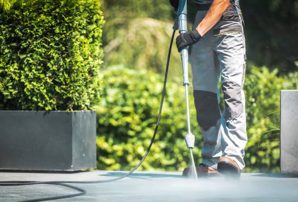 Best Gutter Cleaning  in Toledo, IA