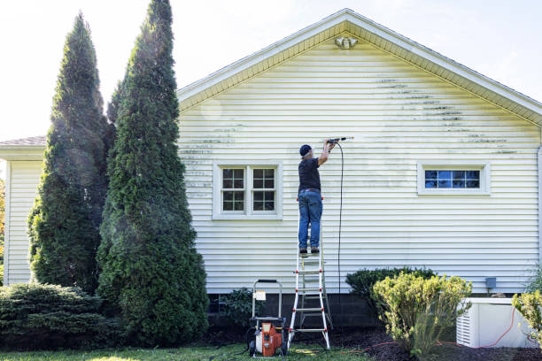 Best Building Exterior Washing  in Toledo, IA